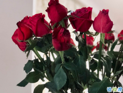 成功率百分百的表白情話 30句高級情話句子大全2