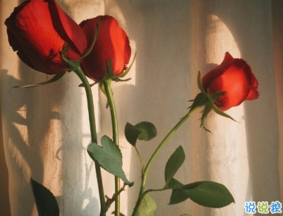 最火勵(lì)志說說精選帶圖片 微信勵(lì)志句子簡(jiǎn)短霸氣5