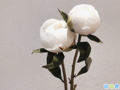 最火勵(lì)志說說精選帶圖片 微信勵(lì)志句子簡(jiǎn)短霸氣9