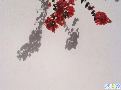 很獨(dú)特的個(gè)性說說帶圖片 qq空間個(gè)性說說好聽精致3