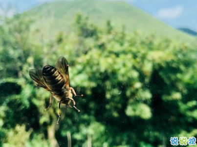 夏天可以發(fā)的文藝說說帶圖片 夏日清涼說說心情短語3