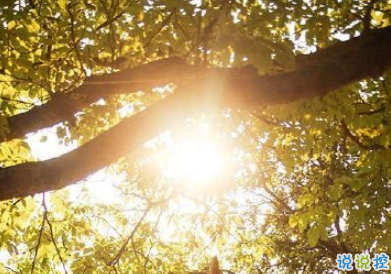 2019下半年第一天怎么發(fā)說說 下半年第一天說說朋友圈好聽勵志2