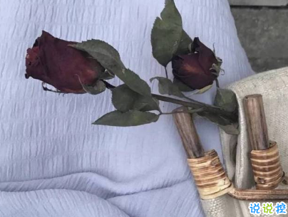 朋友圈經(jīng)典愛情說說帶圖片 你若一直在我便一直愛6