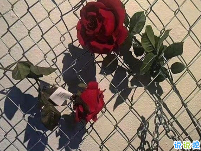 朋友圈經(jīng)典愛情說說帶圖片 你若一直在我便一直愛8