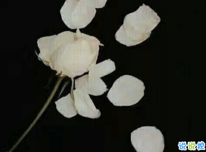 朋友圈經(jīng)典愛情說說帶圖片 你若一直在我便一直愛10