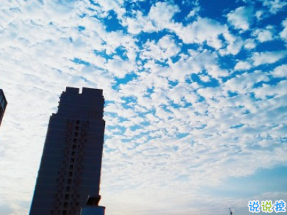 抖音早安心語(yǔ)唯美帶圖片 早安問(wèn)候語(yǔ)幽默一句話(huà)7