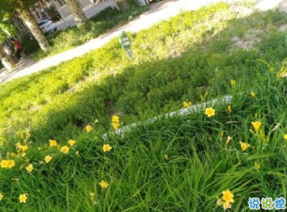 抖音早安心語(yǔ)唯美帶圖片 早安問(wèn)候語(yǔ)幽默一句話(huà)9