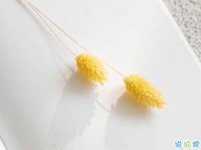 抖音早安心語(yǔ)唯美帶圖片 早安問(wèn)候語(yǔ)幽默一句話(huà)11