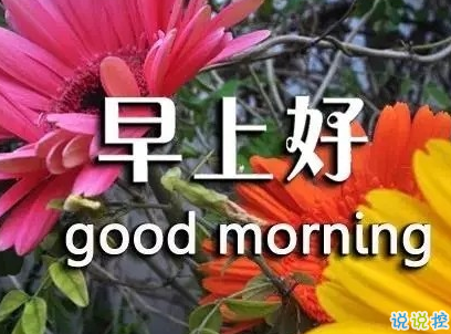 抖音早安心語(yǔ)唯美帶圖片 早安問(wèn)候語(yǔ)幽默一句話(huà)10