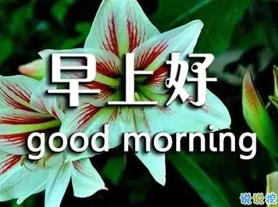 抖音早安心語(yǔ)唯美帶圖片 早安問(wèn)候語(yǔ)幽默一句話(huà)15