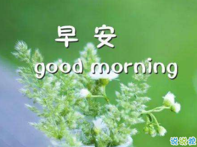 抖音早安心語(yǔ)唯美帶圖片 早安問(wèn)候語(yǔ)幽默一句話(huà)2