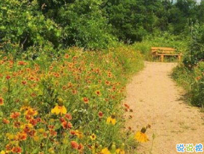 2019表達(dá)天好熱的朋友圈說(shuō)說(shuō)配圖 熱得你走出半生歸來(lái)全熟11