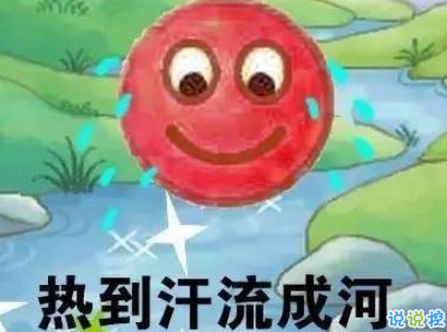 2019表達(dá)天好熱的朋友圈說(shuō)說(shuō)配圖 熱得你走出半生歸來(lái)全熟4