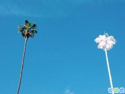 努力奮斗的句子帶圖片 高質(zhì)量治愈系勵(lì)志說(shuō)說(shuō)6