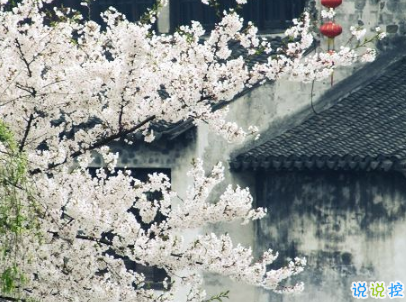 努力奮斗的句子帶圖片 高質(zhì)量治愈系勵(lì)志說(shuō)說(shuō)10