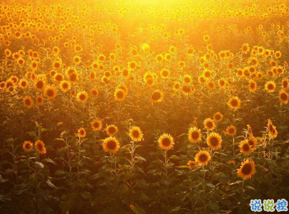 努力奮斗的句子帶圖片 高質(zhì)量治愈系勵(lì)志說(shuō)說(shuō)5