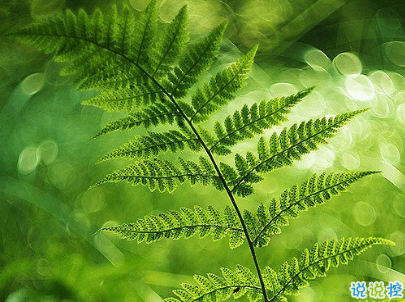 努力奮斗的句子帶圖片 高質(zhì)量治愈系勵(lì)志說(shuō)說(shuō)7