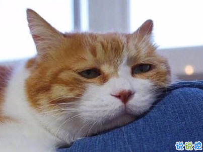 心累心煩的說說帶圖片 煩躁不安的傷感說說13