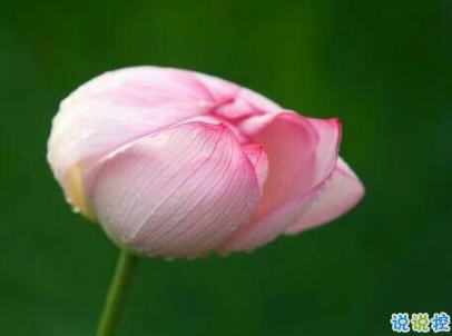 對愛情無助絕望的說說帶圖片 沒人心疼你的難過委屈吧9