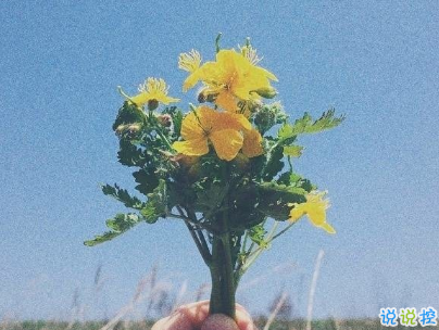 對愛情無助絕望的說說帶圖片 沒人心疼你的難過委屈吧10