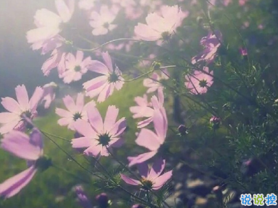 對愛情無助絕望的說說帶圖片 沒人心疼你的難過委屈吧13