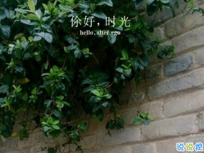 對愛情無助絕望的說說帶圖片 沒人心疼你的難過委屈吧3