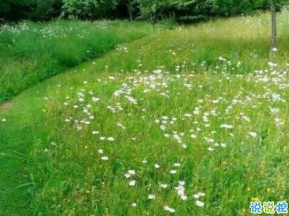  適合假期發(fā)的日常句子帶圖片 2019暑假放假的個(gè)性說(shuō)說(shuō)短語(yǔ)5