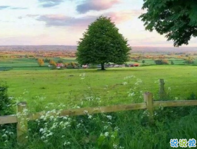  適合假期發(fā)的日常句子帶圖片 2019暑假放假的個(gè)性說(shuō)說(shuō)短語(yǔ)10