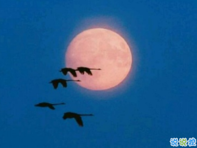  適合假期發(fā)的日常句子帶圖片 2019暑假放假的個(gè)性說(shuō)說(shuō)短語(yǔ)11