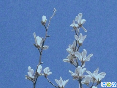  適合假期發(fā)的日常句子帶圖片 2019暑假放假的個(gè)性說(shuō)說(shuō)短語(yǔ)3