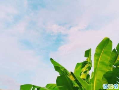  適合假期發(fā)的日常句子帶圖片 2019暑假放假的個(gè)性說(shuō)說(shuō)短語(yǔ)2