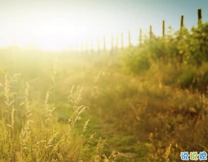 男生哲理說(shuō)說(shuō)句子大全 適合男生發(fā)的說(shuō)說(shuō)哲理2