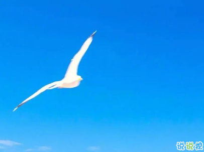 微信朋友圈經(jīng)典說說帶圖片 吸引人點贊的經(jīng)典短句7