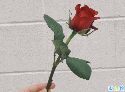 微信朋友圈經(jīng)典說說帶圖片 吸引人點贊的經(jīng)典短句1