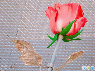 成長過程中學(xué)會的一些道理 簡單但很有用的哲理句子配圖14