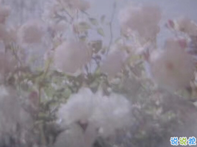 成長過程中學(xué)會的一些道理 簡單但很有用的哲理句子配圖15