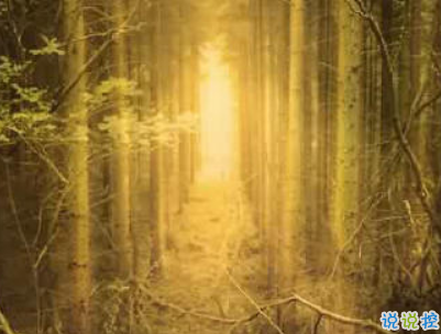 夜深人靜一個人的悲傷說說配圖 放手舍不得堅持又太累14