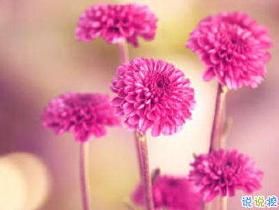 夜深人靜一個人的悲傷說說配圖 放手舍不得堅持又太累10