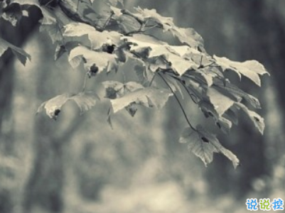 夜深人靜一個人的悲傷說說配圖 放手舍不得堅持又太累7