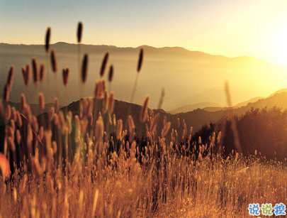 夜深人靜一個人的悲傷說說配圖 放手舍不得堅持又太累2
