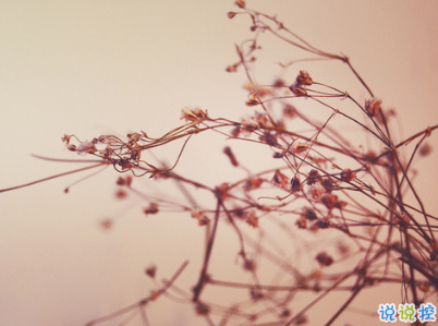 夜深人靜一個人的悲傷說說配圖 放手舍不得堅持又太累1