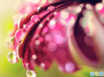 夜深人靜一個人的悲傷說說配圖 放手舍不得堅持又太累13