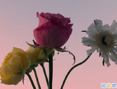 最搞笑的早安心語大全 微信早安搞笑短句精選2