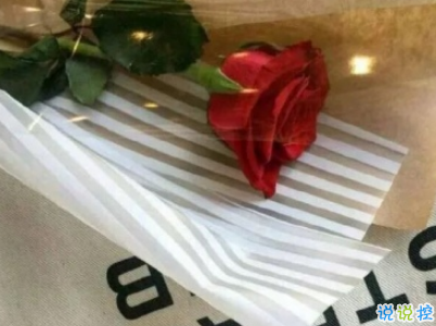 讓人開心爆笑的微信說說帶圖片 全網(wǎng)最皮句子笑到抽筋11