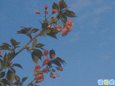 離婚的說(shuō)說(shuō)句子大全 離婚后心酸失望的說(shuō)說(shuō)1