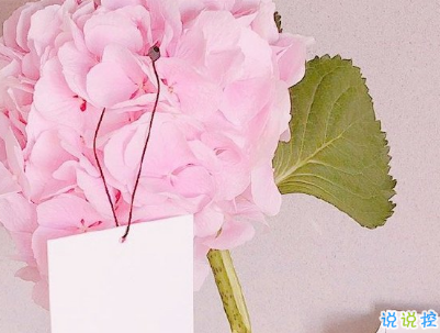 情侶間日常生活的甜句子配圖 讓人喜笑顏開(kāi)的甜蜜說(shuō)說(shuō)15