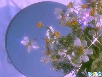 情侶間日常生活的甜句子配圖 讓人喜笑顏開(kāi)的甜蜜說(shuō)說(shuō)5