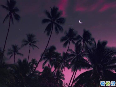 朋友圈個(gè)性說(shuō)說(shuō)帶圖片 最火一句話說(shuō)說(shuō)精選句子13