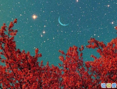 朋友圈個(gè)性說(shuō)說(shuō)帶圖片 最火一句話說(shuō)說(shuō)精選句子10