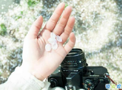 朋友圈個(gè)性說(shuō)說(shuō)帶圖片 最火一句話說(shuō)說(shuō)精選句子3